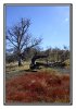 20/IMG_4475 site.jpg